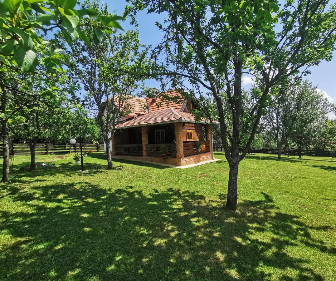 Appartamento Seosko Domacinstvo Bondzulic Užice Esterno foto