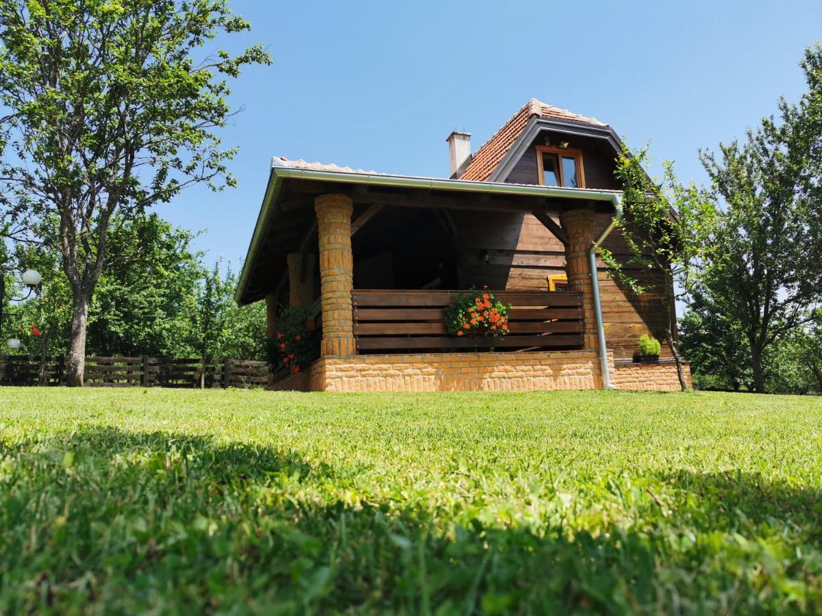 Appartamento Seosko Domacinstvo Bondzulic Užice Esterno foto