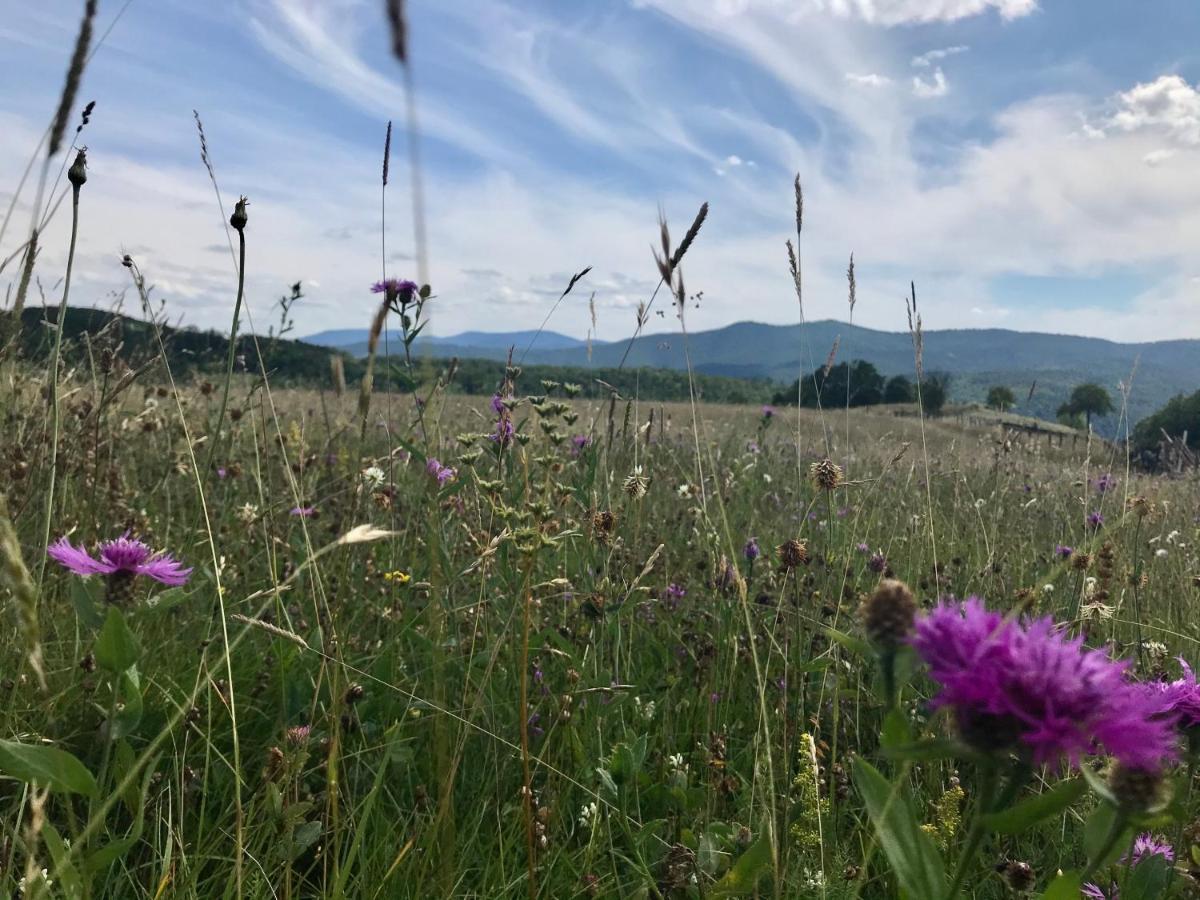 Appartamento Seosko Domacinstvo Bondzulic Užice Esterno foto