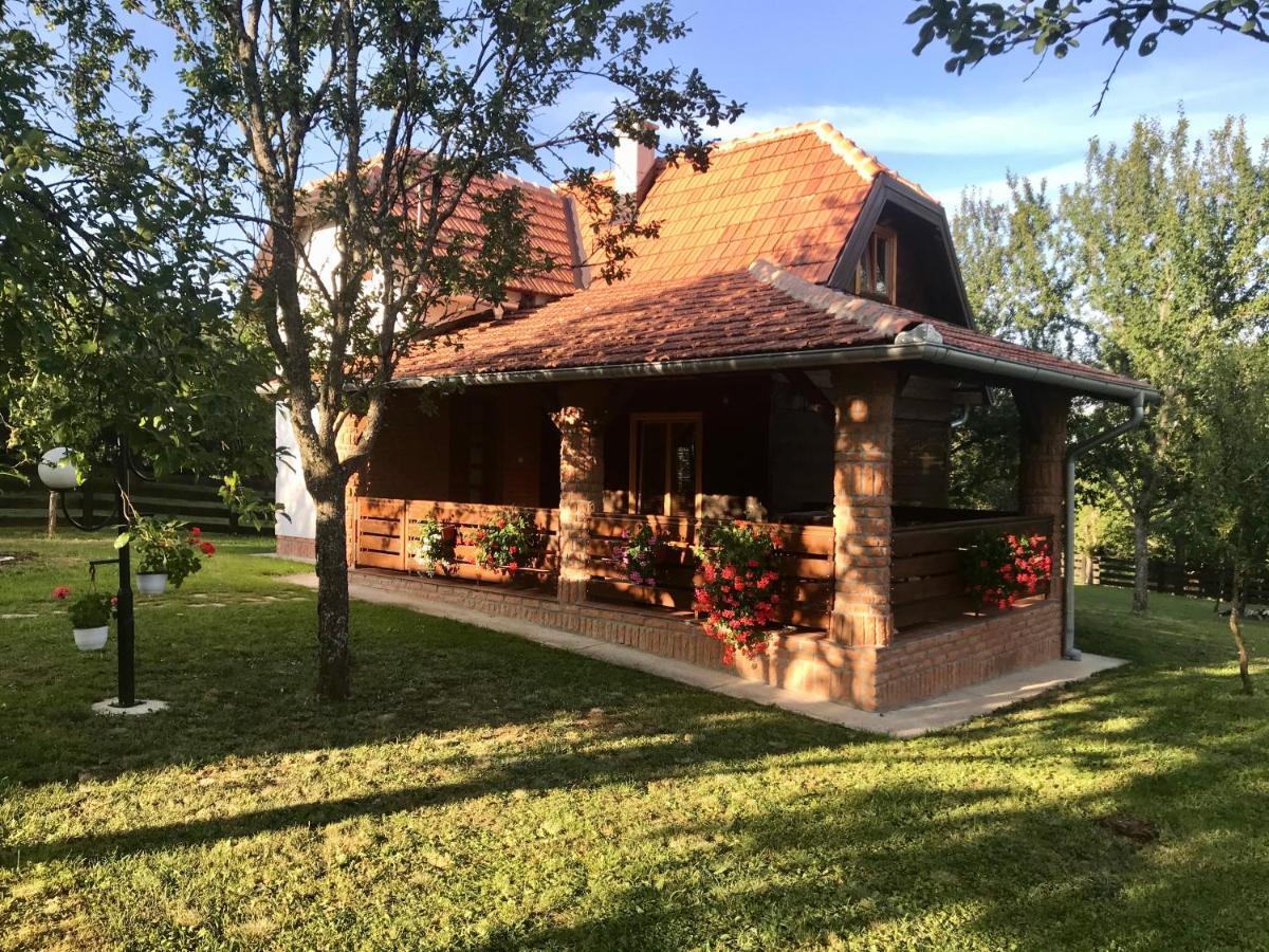 Appartamento Seosko Domacinstvo Bondzulic Užice Esterno foto