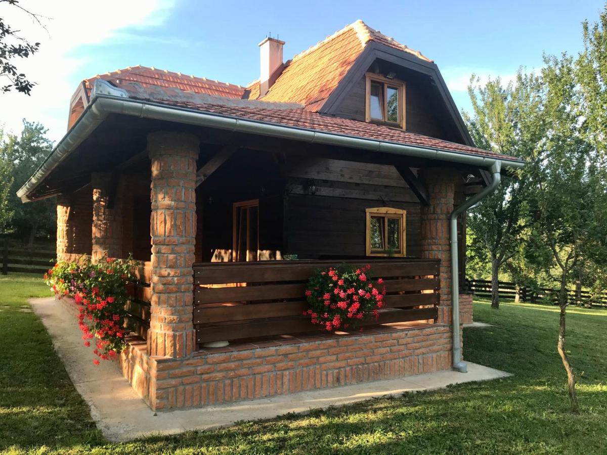Appartamento Seosko Domacinstvo Bondzulic Užice Esterno foto