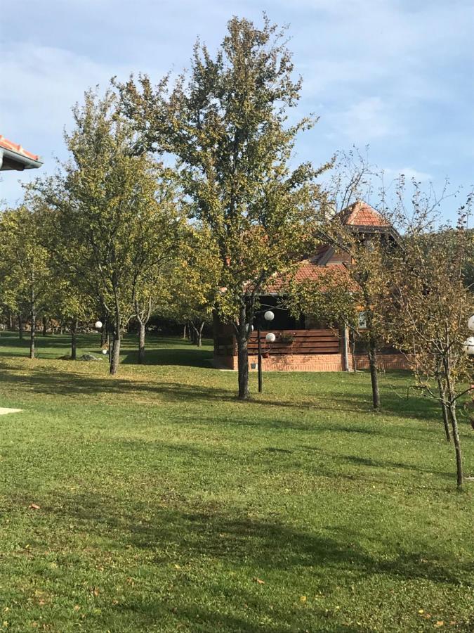Appartamento Seosko Domacinstvo Bondzulic Užice Esterno foto
