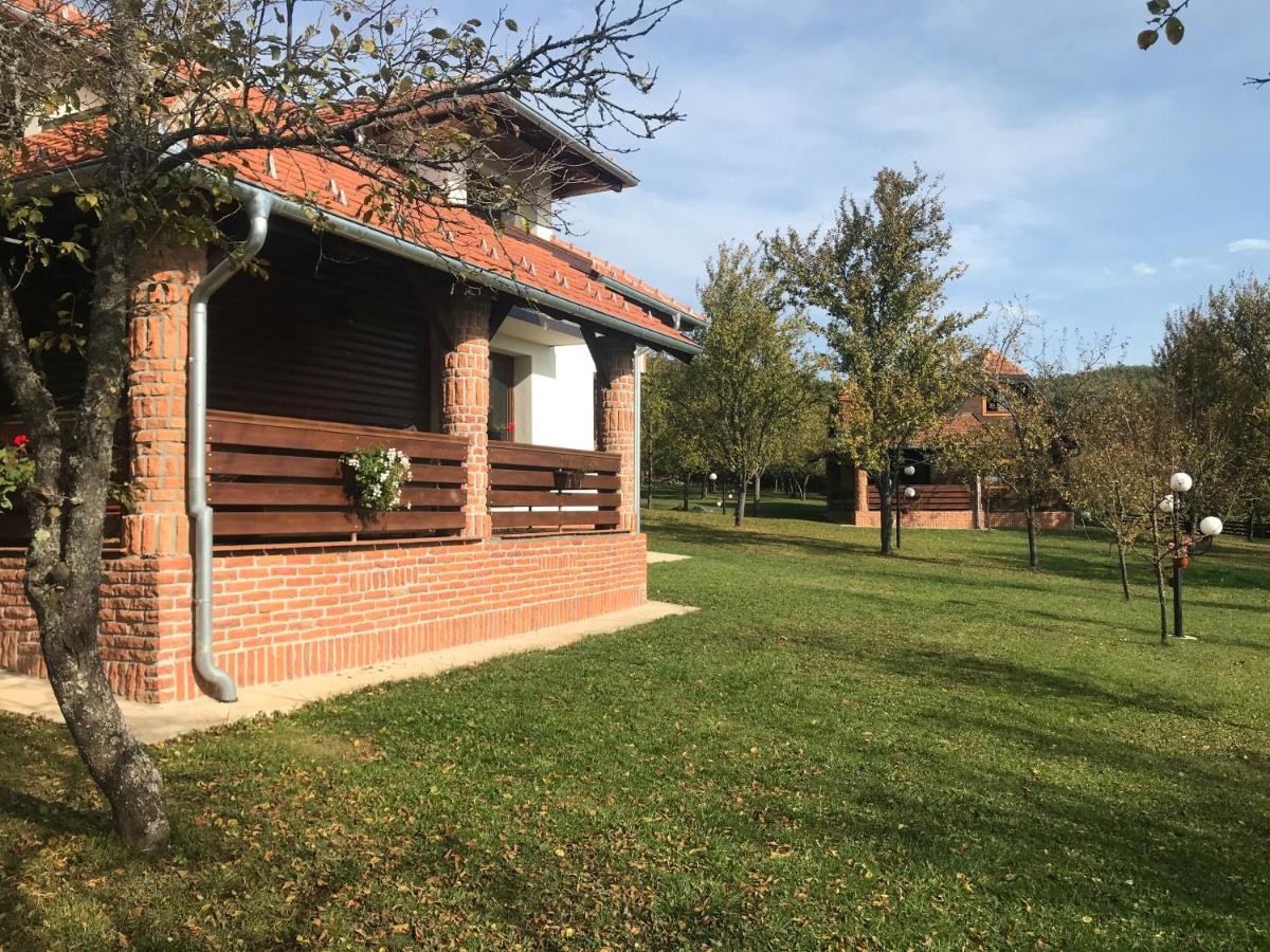Appartamento Seosko Domacinstvo Bondzulic Užice Esterno foto
