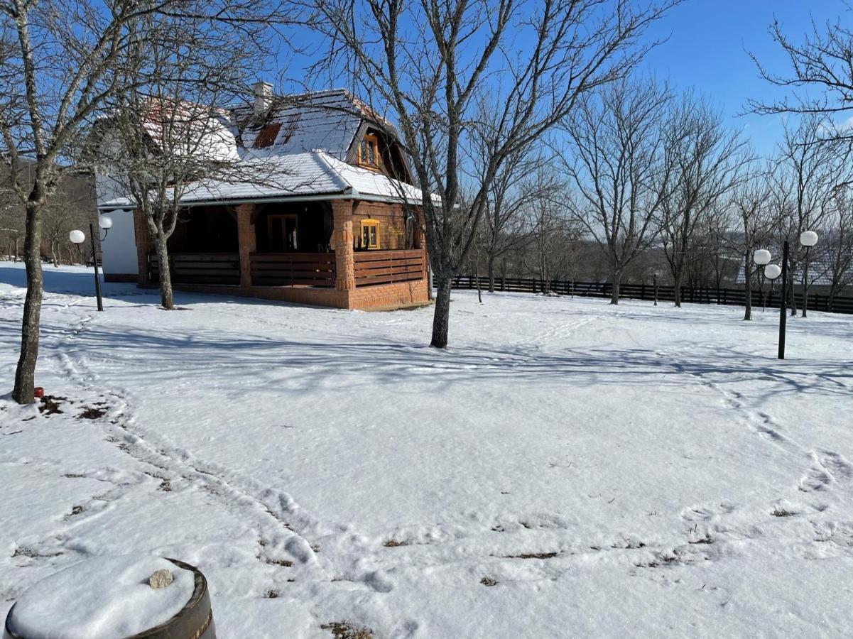 Appartamento Seosko Domacinstvo Bondzulic Užice Esterno foto